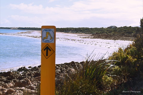 Walk The Yorke Trail - Holiday Sunshine Coast 2