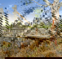 Wandoan - Holiday Sunshine Coast