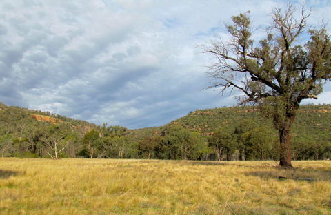 Weddin Mountains National Park - Holiday Sunshine Coast 0