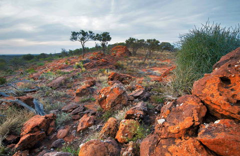 Western Ridge Walk - Sunshine Coast Tourism 0