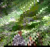 Wet Tropics Rainforest - Sunshine Coast Tourism