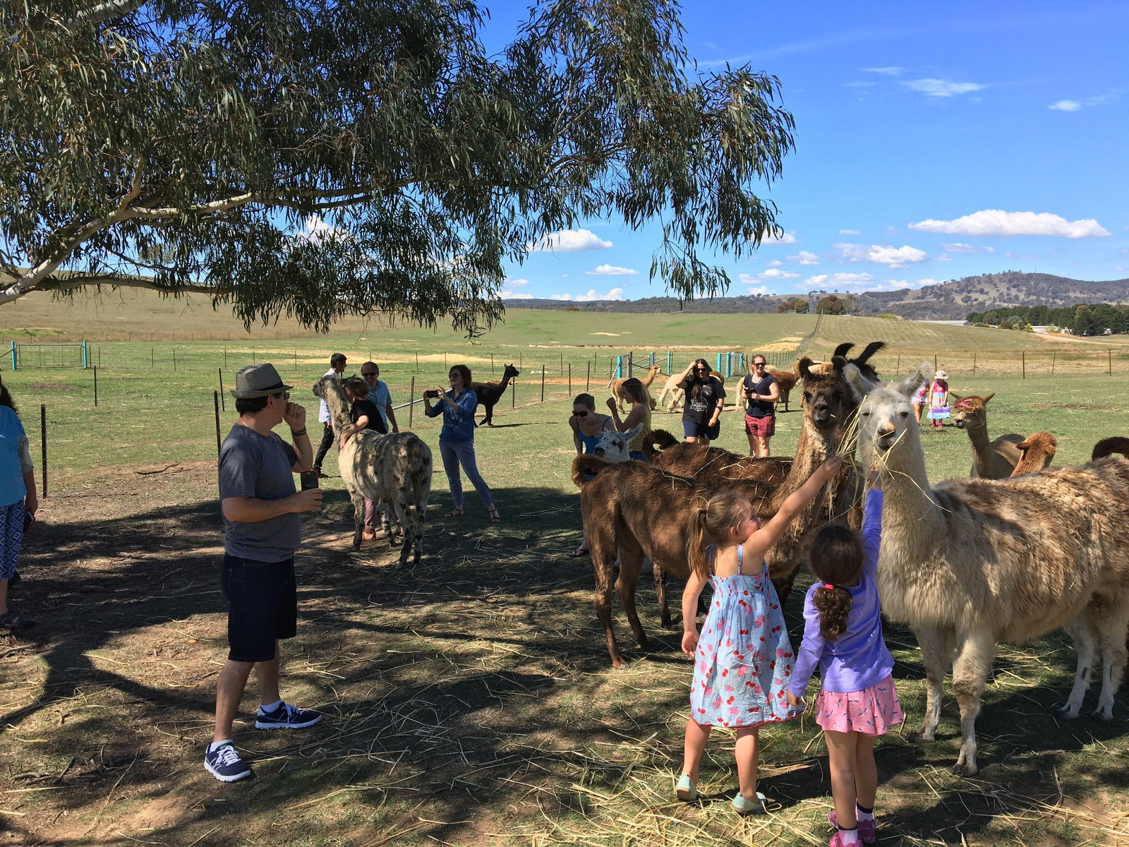 Williamsdale NSW Sunshine Coast Tourism