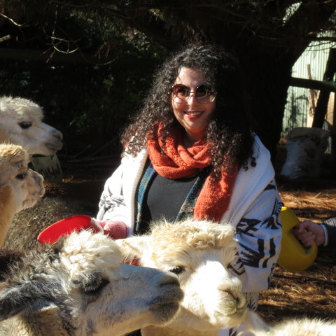 Alpaca Farm Experience At Crookwell - Holiday Sunshine Coast 1