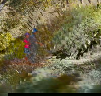 Australian Arid Lands Botanic Garden