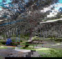 Barrington Tops State Forest