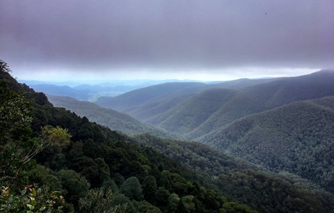 Barrington Tops State Forest - Sunshine Coast Tourism 2