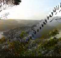 Berowra Valley National Park - Sunshine Coast Tourism