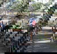 Bidgee Riverside Trail  - Hay Nature Walk