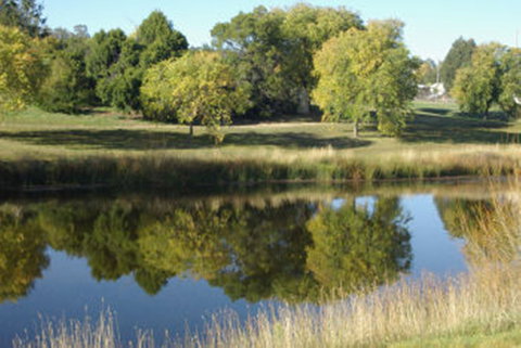 Bombala - Holiday Sunshine Coast 1