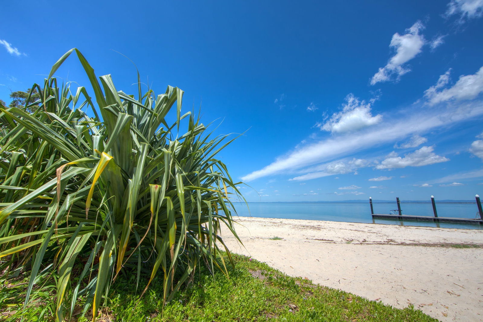 Bongaree QLD Holiday Sunshine Coast