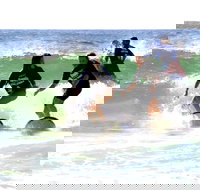 Broadbeach Surf School - Holiday Sunshine Coast