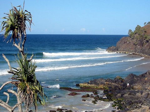 Cabarita Beach - Sunshine Coast Tourism 0