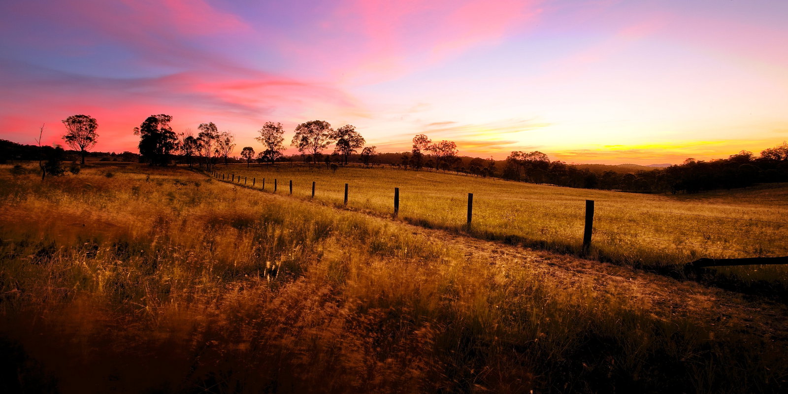 Cabarlah QLD Sunshine Coast Tourism