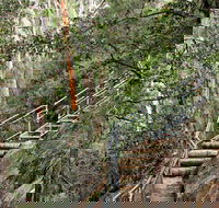 Caleys Lookout Track - Holiday Sunshine Coast