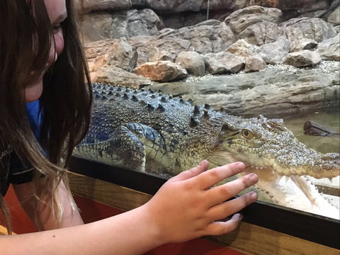 Canberra Reptile Zoo - Sunshine Coast Tourism 0