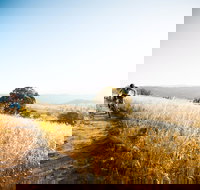 Canberra Centenary Trail - Sunshine Coast Tourism