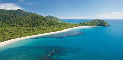 Cape Tribulation, Daintree National Park - Holiday Sunshine Coast 0