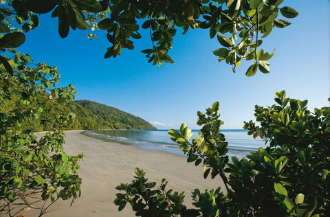 Cape Tribulation, Daintree National Park - Holiday Sunshine Coast 1