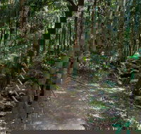 Cascades Walk - Holiday Sunshine Coast