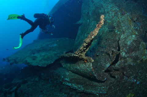 Cementco Dive Site - Sunshine Coast Tourism 1