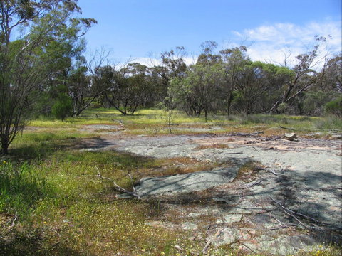 Christmas Rock Walk - Holiday Sunshine Coast 0