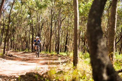 Davies Creek Mountain Bike Park - Holiday Sunshine Coast 1