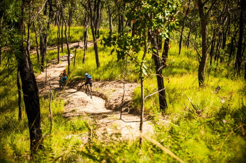 Davies Creek Mountain Bike Park - Holiday Sunshine Coast 2