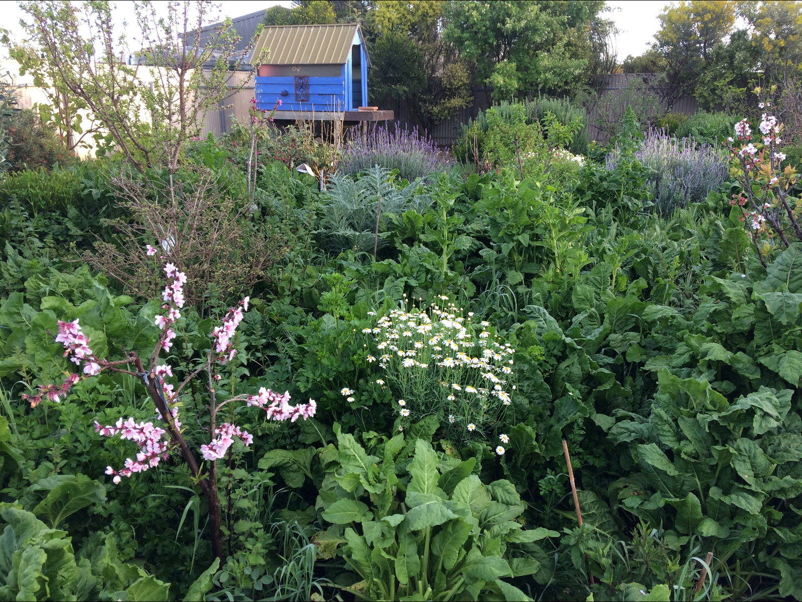 Holiday Sunshine Coast