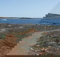 Elliston Coastal Trail