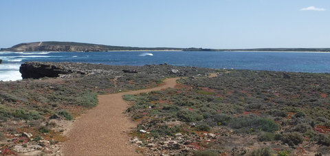 Elliston Coastal Trail - Sunshine Coast Tourism 0