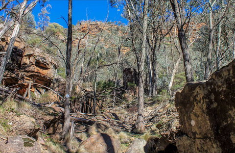 Eualdrie Walking Track - Sunshine Coast Tourism 0