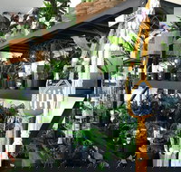 Fancy Plants - Sunshine Coast Tourism