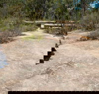 Finchley Cultural Walk - Holiday Sunshine Coast