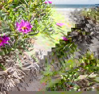 Fort Bribie