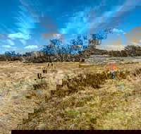 Goldseekers track - Sunshine Coast Tourism