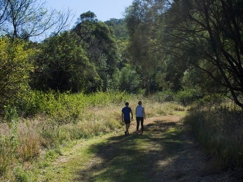 Goolman Lookout Via Rocky Knoll Lookout Trail - Holiday Sunshine Coast 2