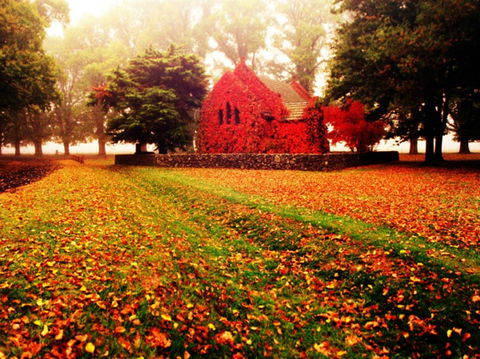 Gostwyck Chapel - Sunshine Coast Tourism 0