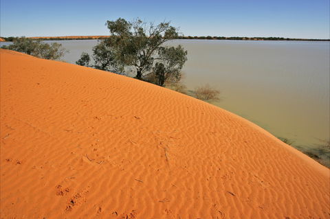 Innamincka Regional Reserve - Sunshine Coast Tourism 1