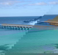 Innes National Park - Stenhouse Bay Lookout Guided Walk - Sunshine Coast Tourism