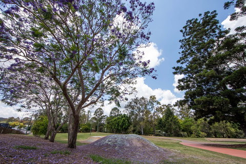 John Scott Park - Sunshine Coast Tourism 0