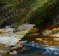 Jumrum Creek Walk Jumrum Creek Conservation Park - Sunshine Coast Tourism