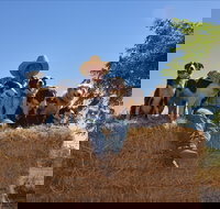 Katherine Outback Experience - Sunshine Coast Tourism