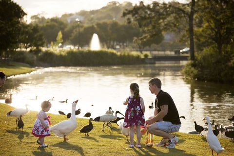 Lake Alford Recreational Park - Sunshine Coast Tourism 0