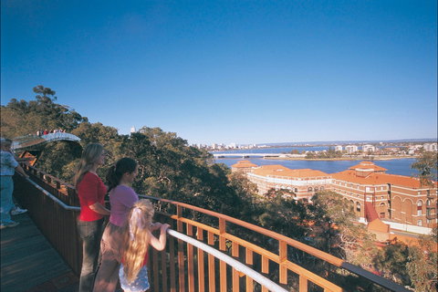 Law Walk - Kings Park - Holiday Sunshine Coast 1