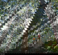 Leeuwin-Naturaliste National Park - Leeuwin - Holiday Sunshine Coast