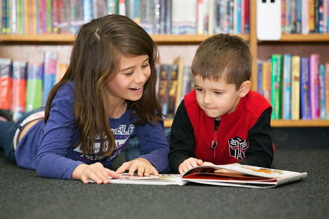 Maitland City Library - Holiday Sunshine Coast 0