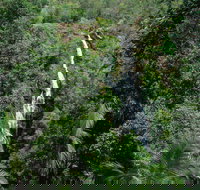 Mapleton Falls National Park - Sunshine Coast Tourism