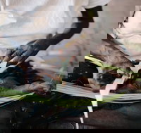 Marrawuddi Gallery - Sunshine Coast Tourism