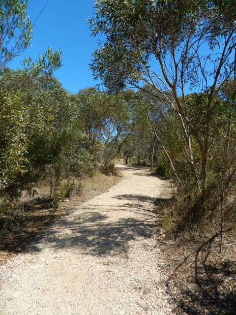 Meningie Lions Walking Trail - Holiday Sunshine Coast 2