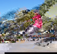 Millicent Skatepark - Holiday Sunshine Coast